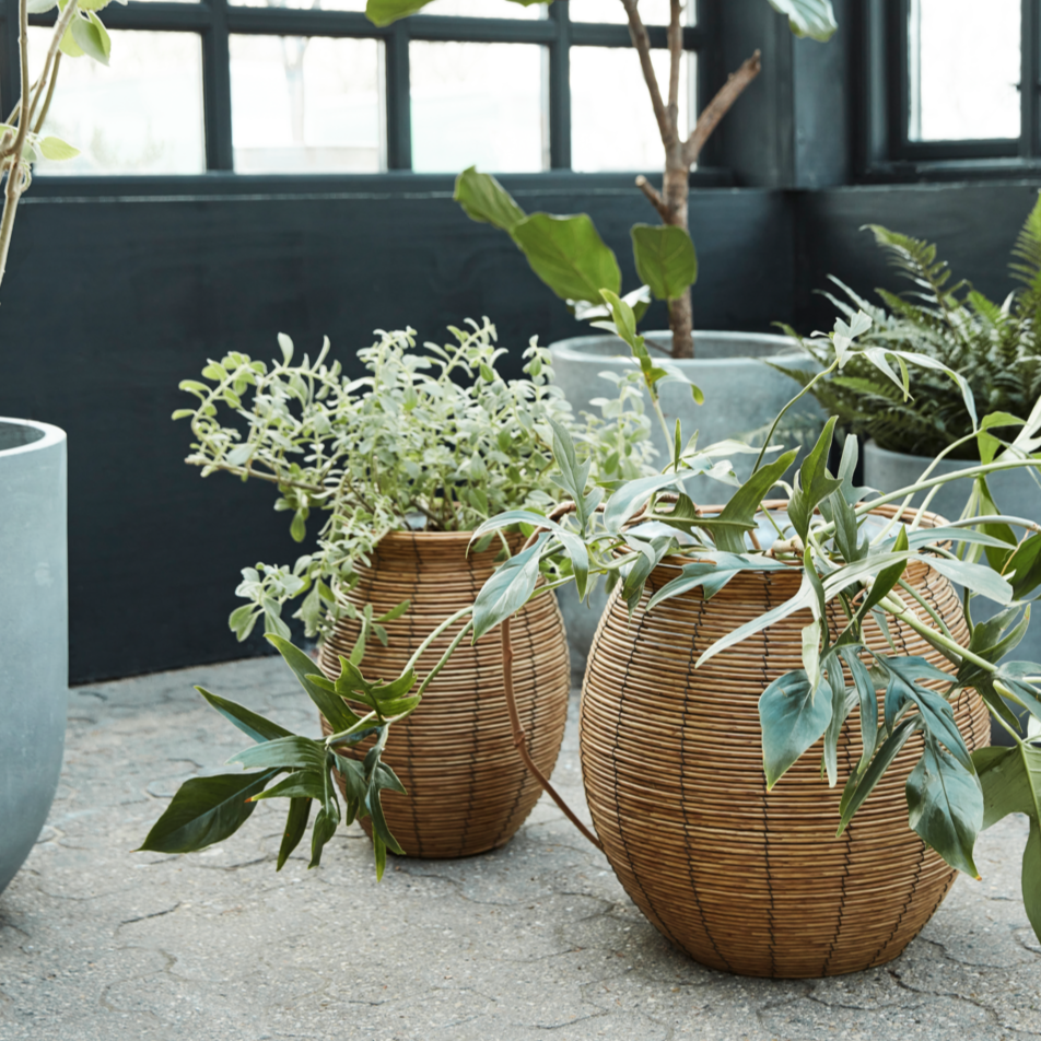vintage indoor plant pots uk Set of Woven Planters | Design Vintage | Plant Baskets