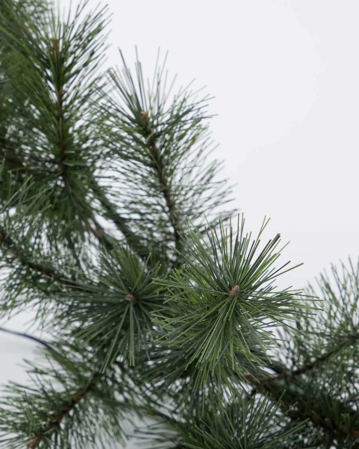 Lit Faux Pine Wreath