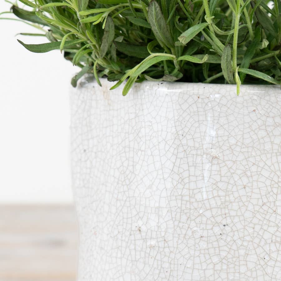 Noa Handmade Jug - Design Vintage