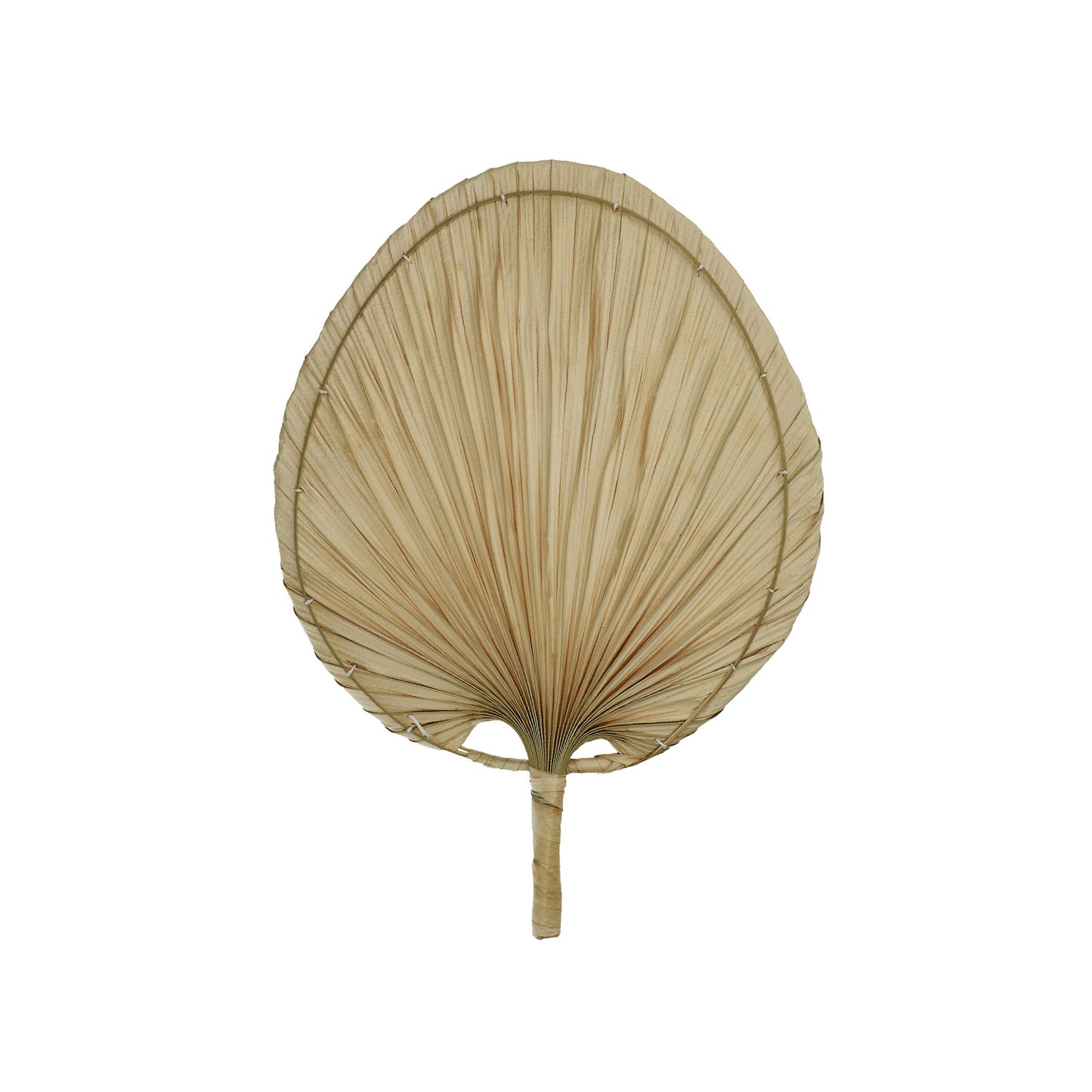Dried Palm Leaf Fan - Design Vintage