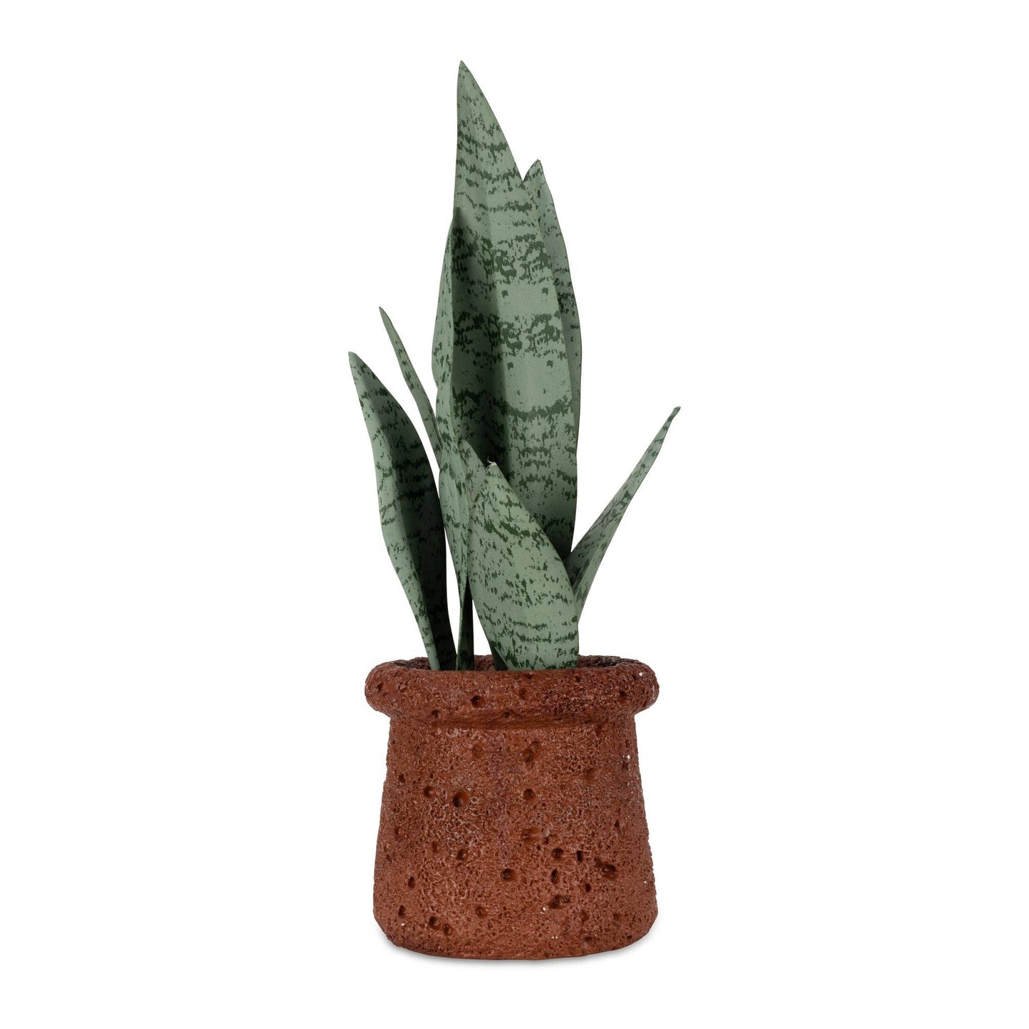 Potted Snake Plant - Design Vintage