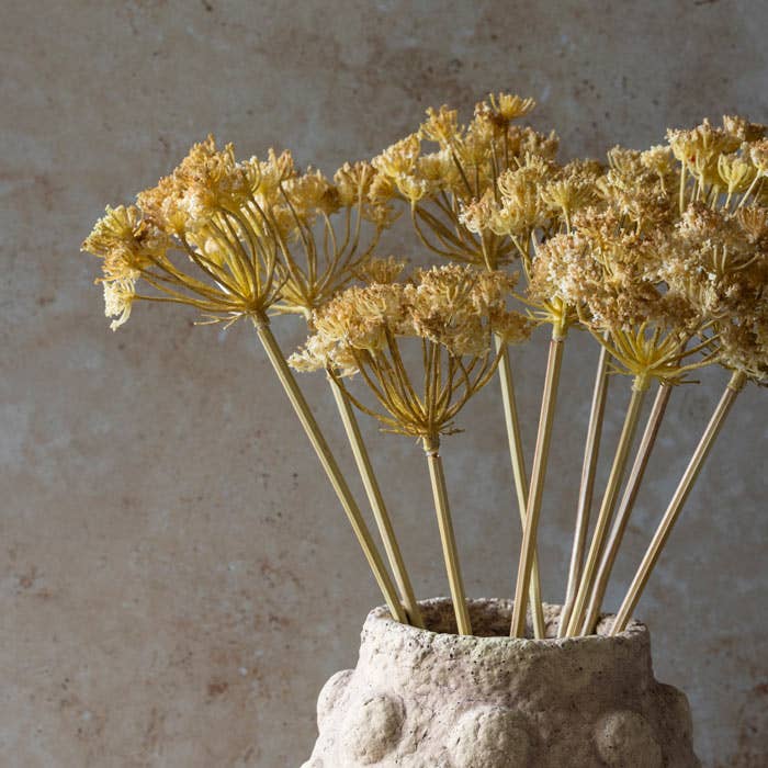 Yarrow Bunch Flower Stem - Design Vintage