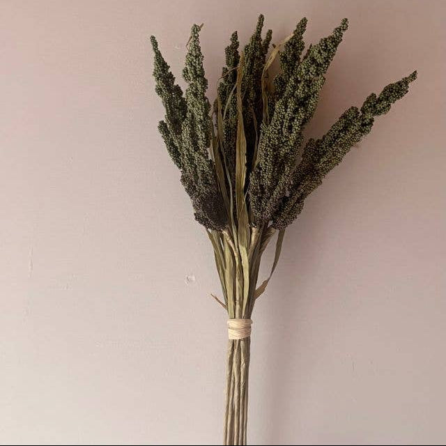 Dried Green Wheat Bunch