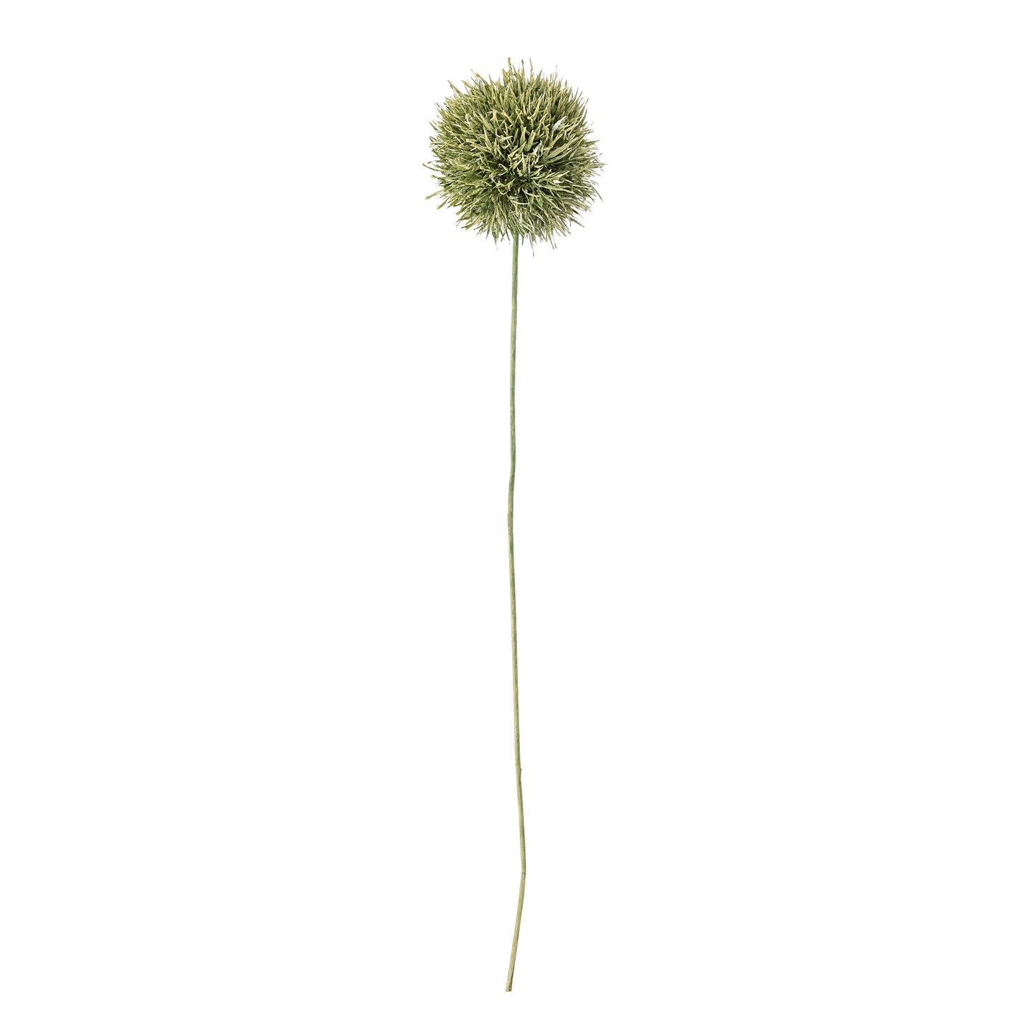 Green Allium Stem - Design Vintage