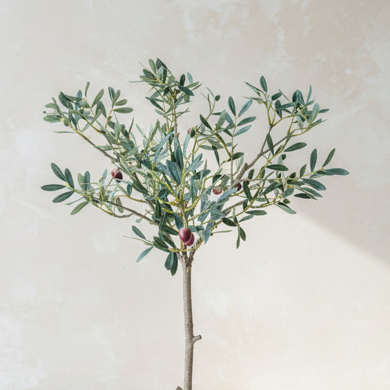 Potted Faux Olive Tree - Design Vintage
