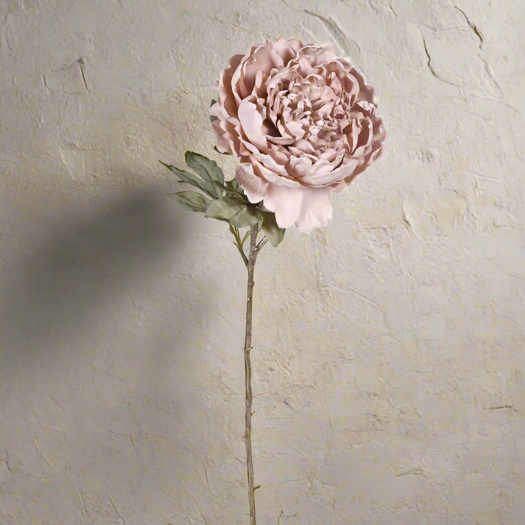 Dusky Peony Stem - Design Vintage