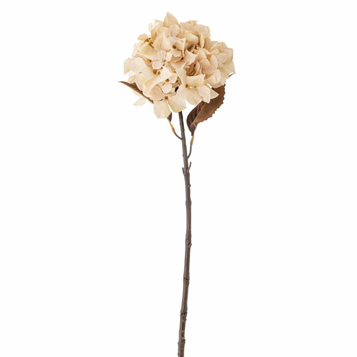 Natural Hydrangea Stem - Design Vintage