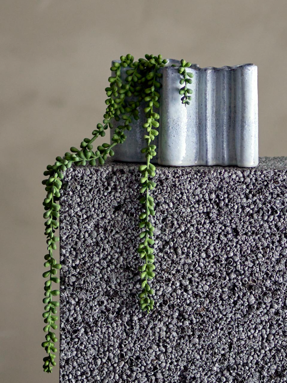 Trailing String of Pearls - Design Vintage