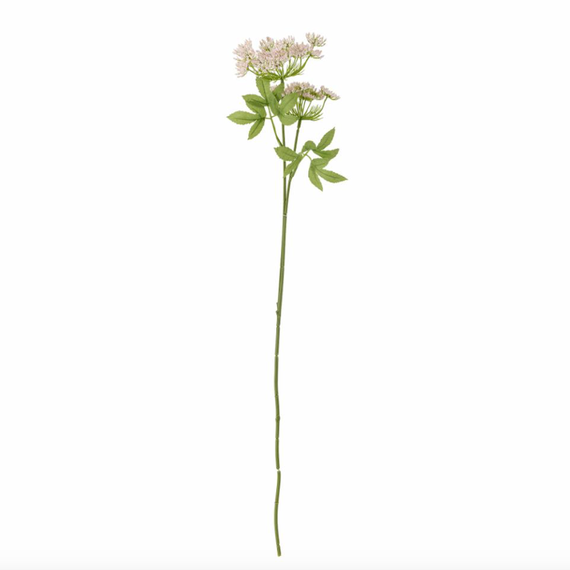 Blush Fennel Stem - Design Vintage