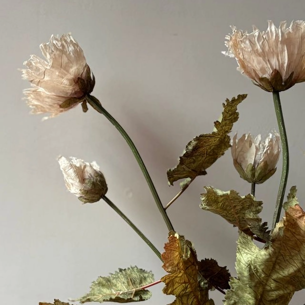 Vintage Nude Poppy