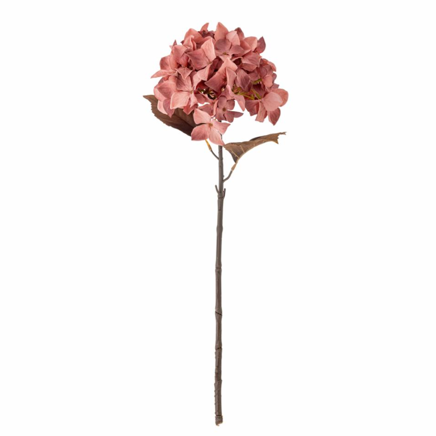 Rose Hydrangea Stem - Design Vintage