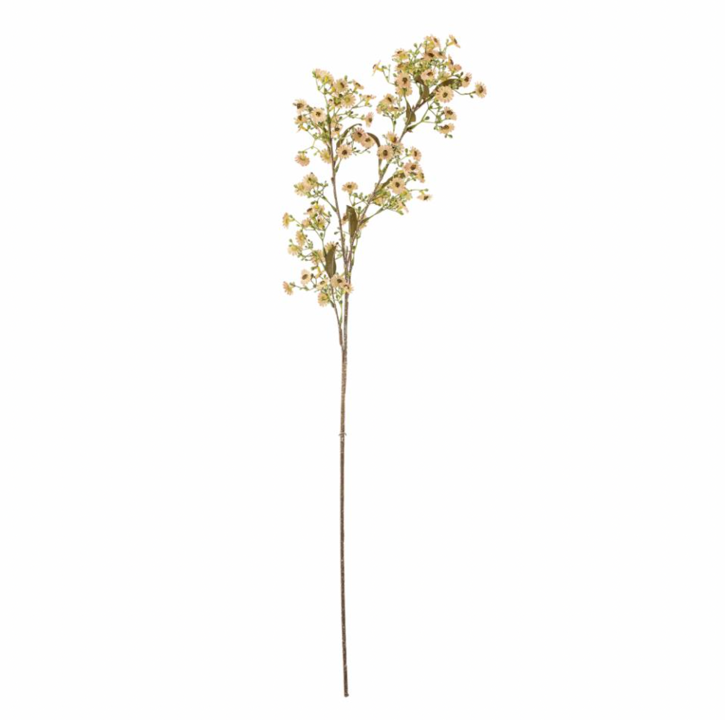 Waxflower Stem - Design Vintage