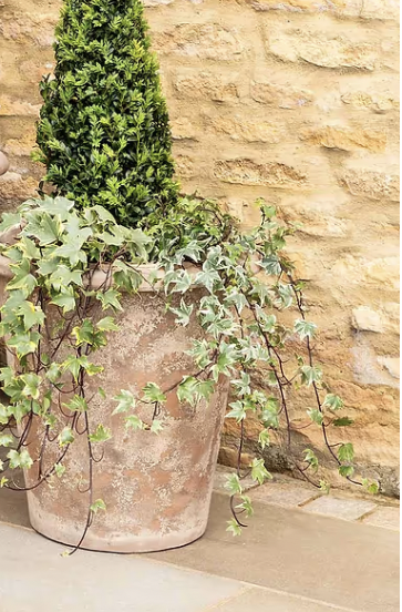 Taper Aged Terracotta Pots - Design Vintage