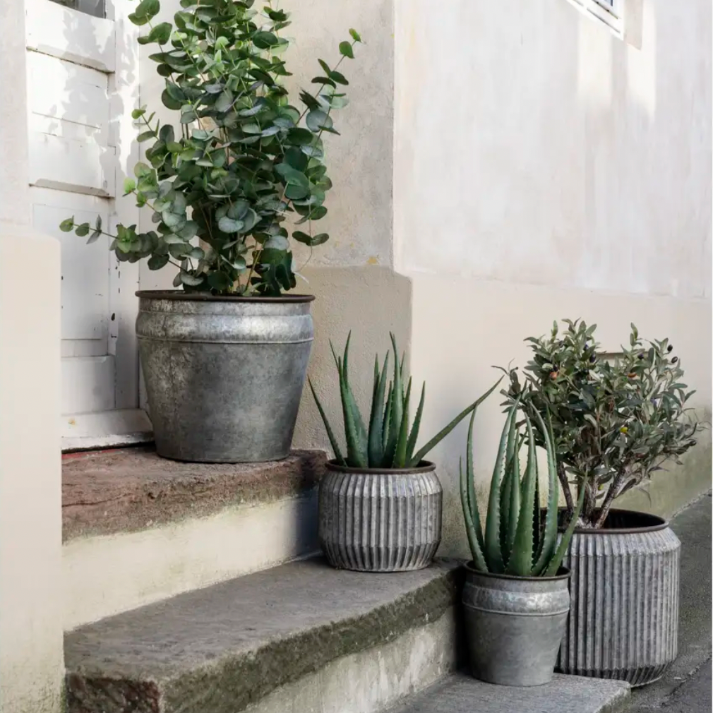 Set of Tapered Iron Planters - Design Vintage
