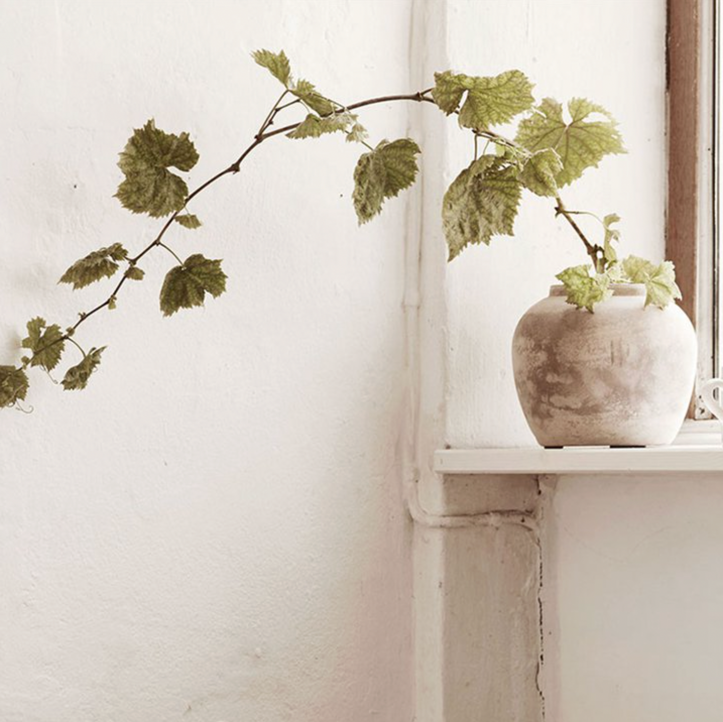 Round Clay Jar - Design Vintage