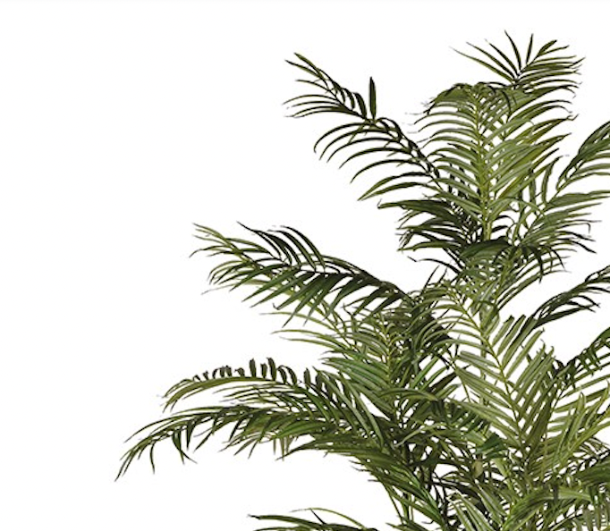 XL Faux Areca Palm - Design Vintage