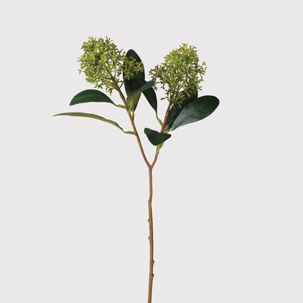 Green Skimmia Spray - Design Vintage