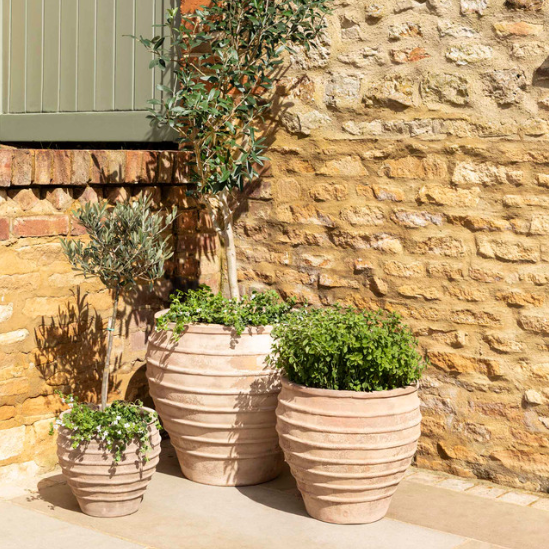 Aged Terracotta Planters