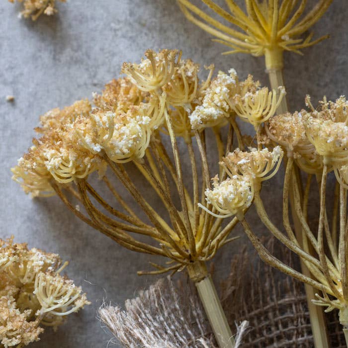 Yarrow Bunch Flower Stem - Design Vintage
