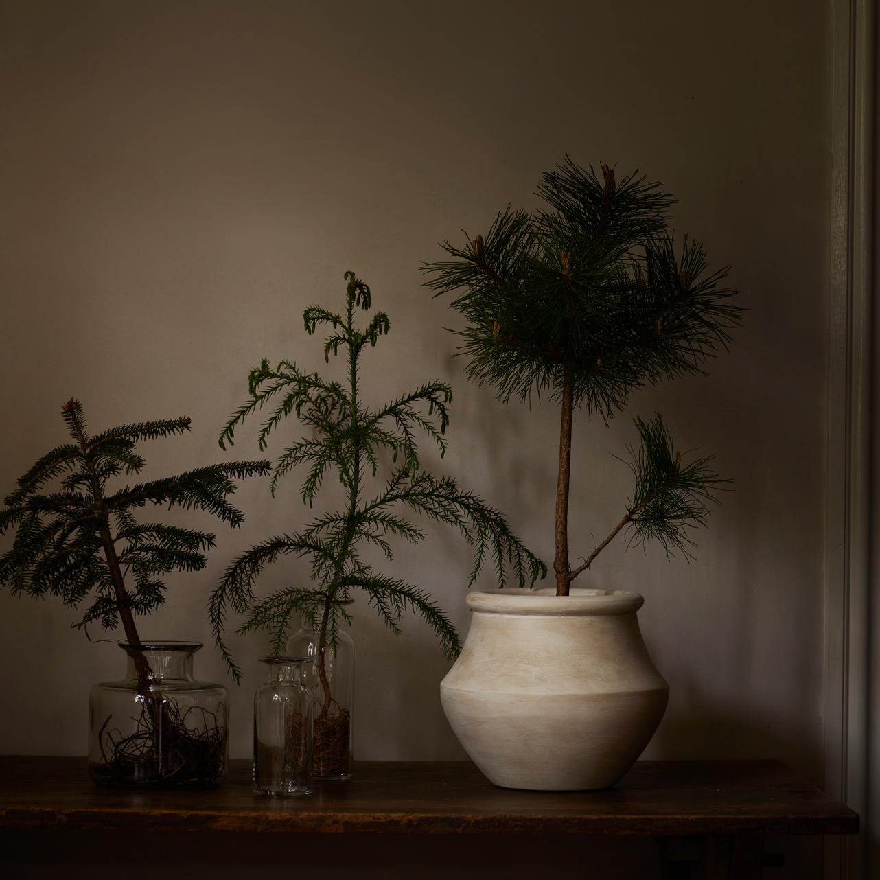 vintage indoor plant pots uk Grecian White Pot | Design Vintage