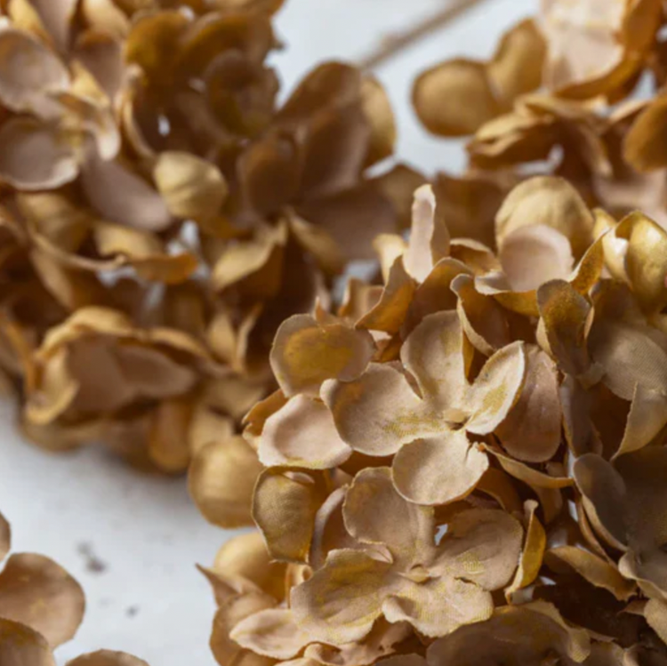 Botanicals