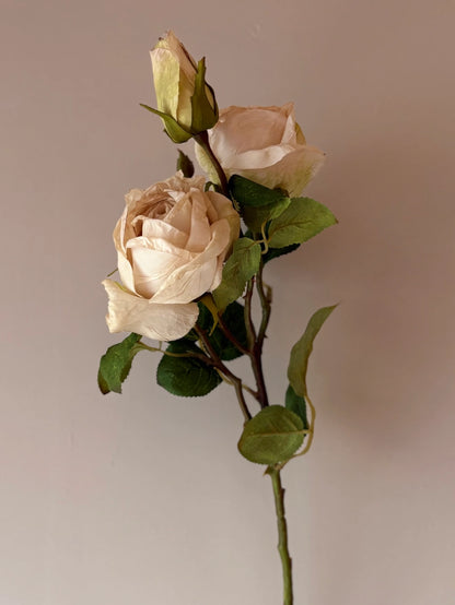 Vintage Nude Rose Spray