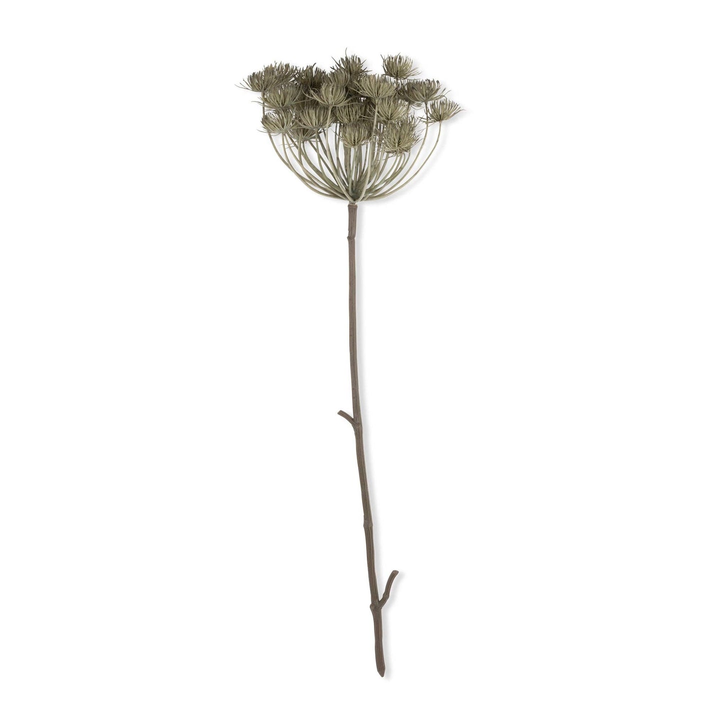 Haze Angelica Stem - Design Vintage