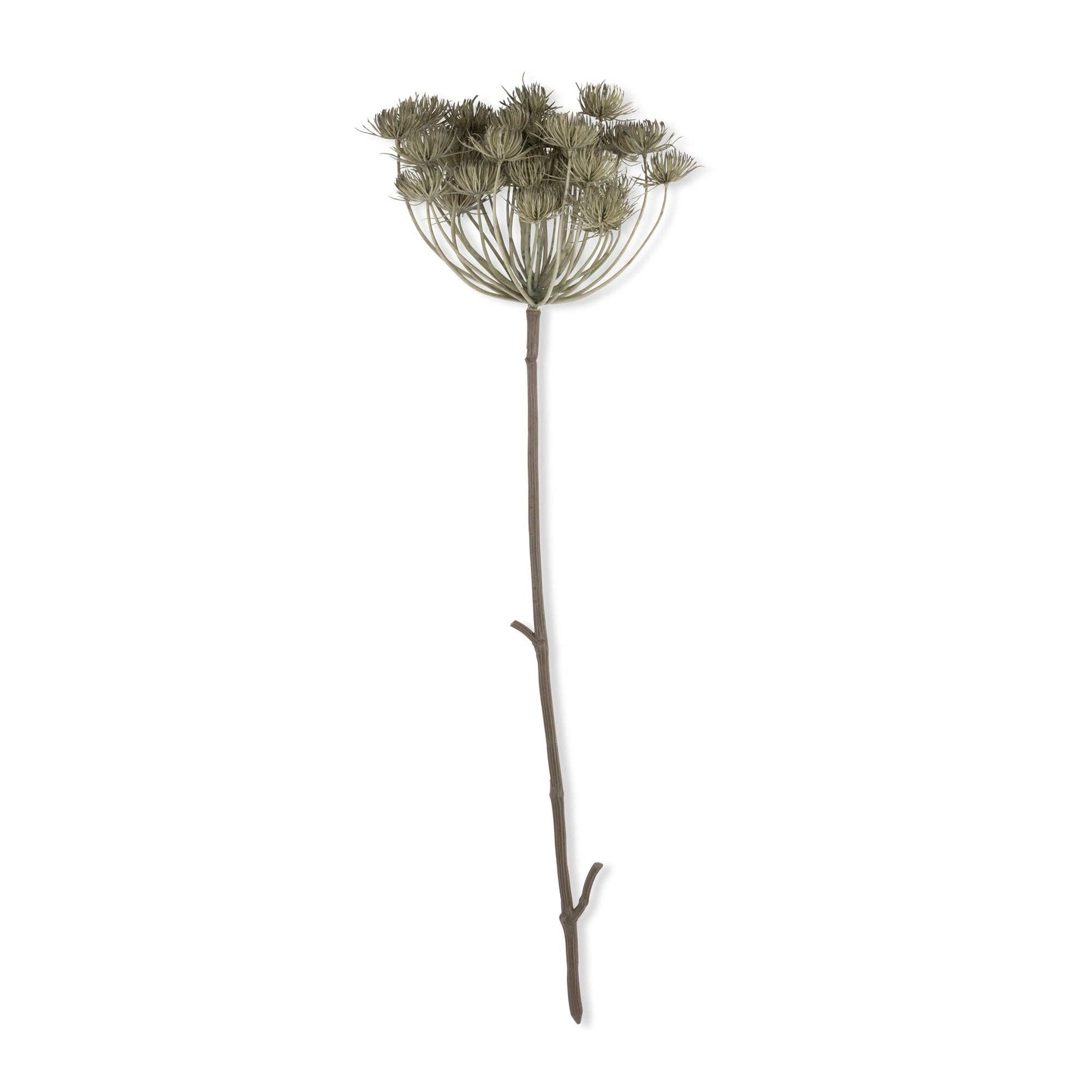 Haze Angelica Stem - Design Vintage