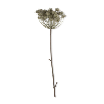 Haze Angelica Stem - Design Vintage