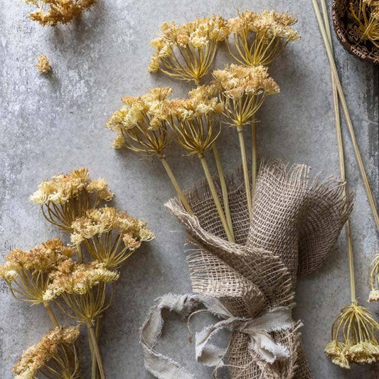 Yarrow Bunch Flower Stem - Design Vintage