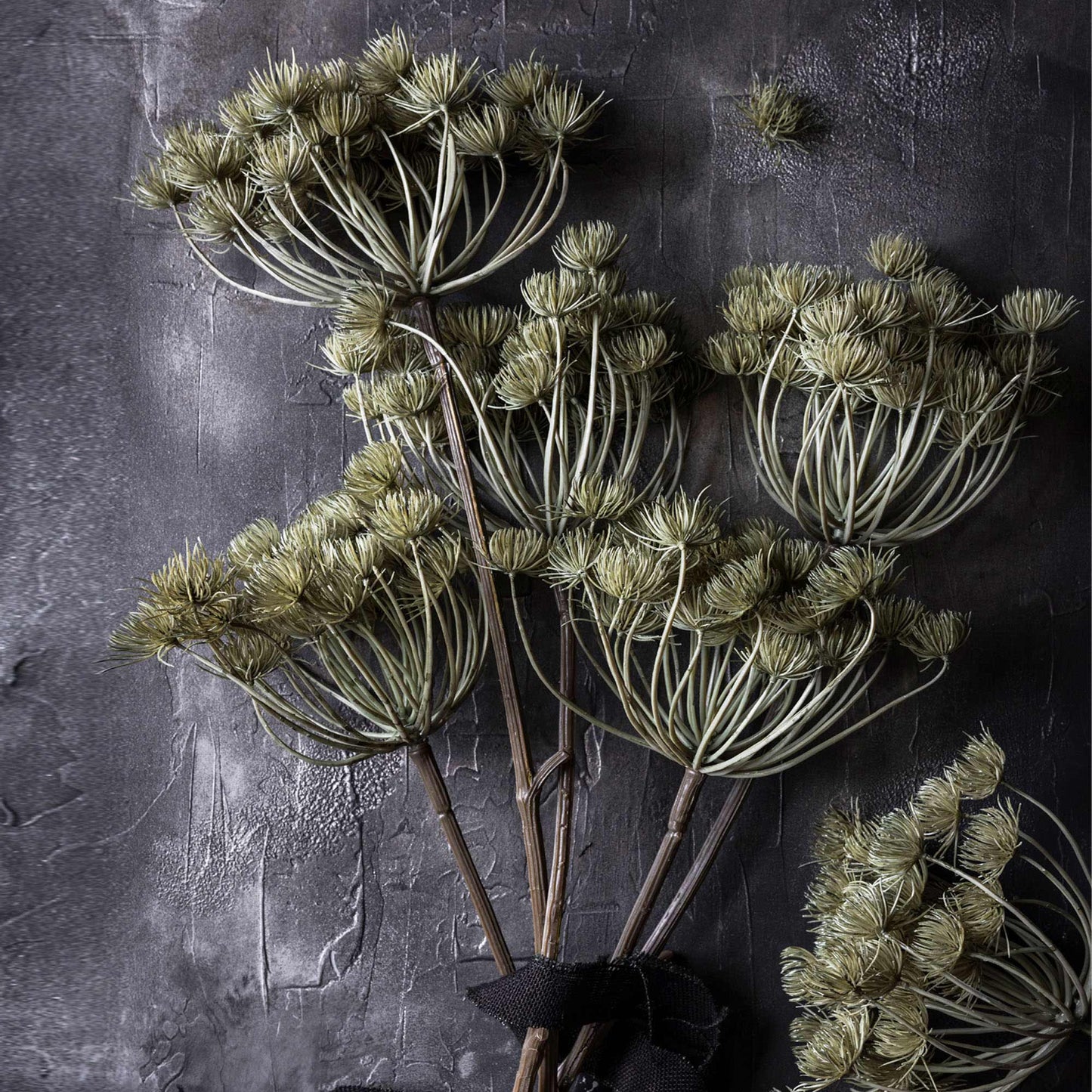 Haze Angelica Stem - Design Vintage