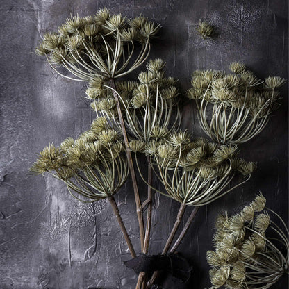 Haze Angelica Stem - Design Vintage