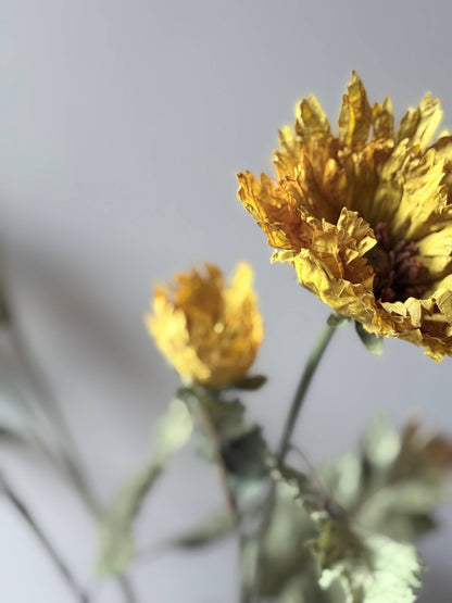 Vintage Mustard Poppy