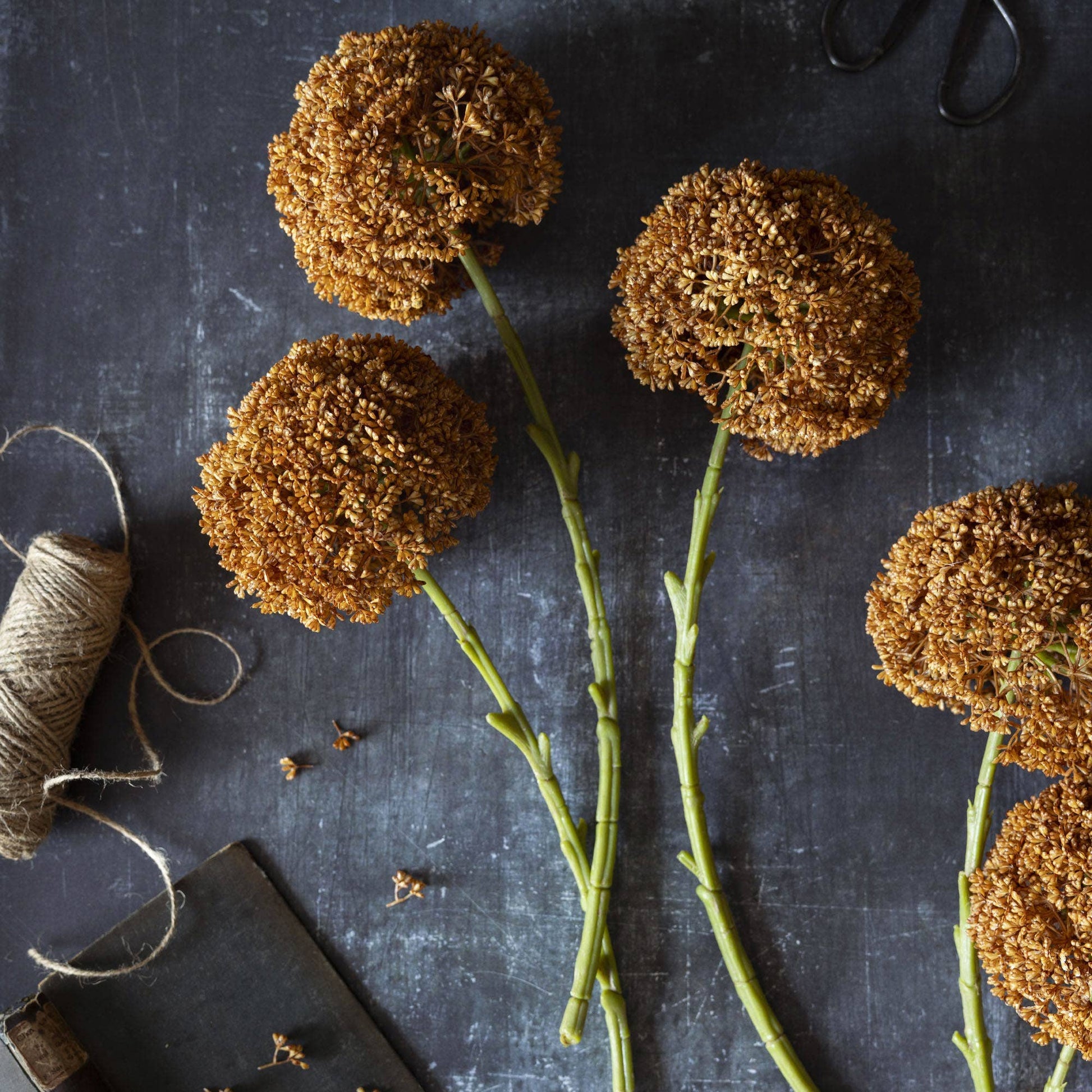 Umber Allium Stem - Design Vintage