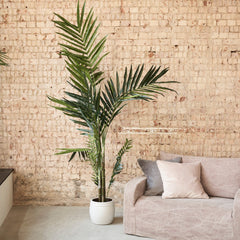 Tall Faux Kentia Palm