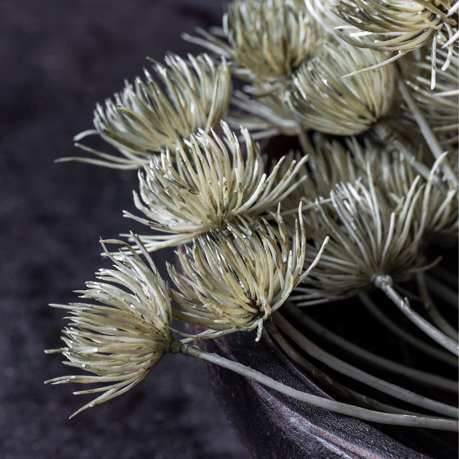 Haze Angelica Stem - Design Vintage