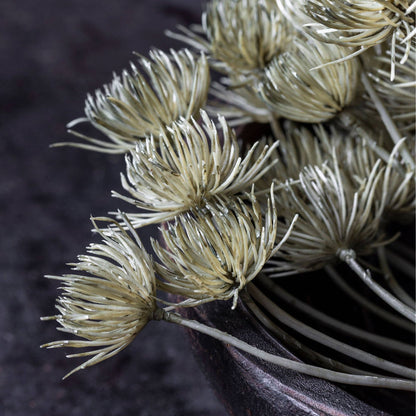 Haze Angelica Stem - Design Vintage
