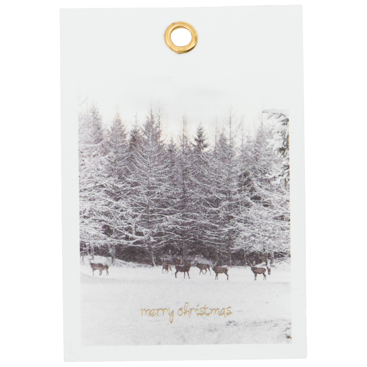 Set of Winter Gift Tags