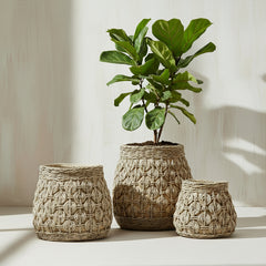 Knot Concrete Planter
