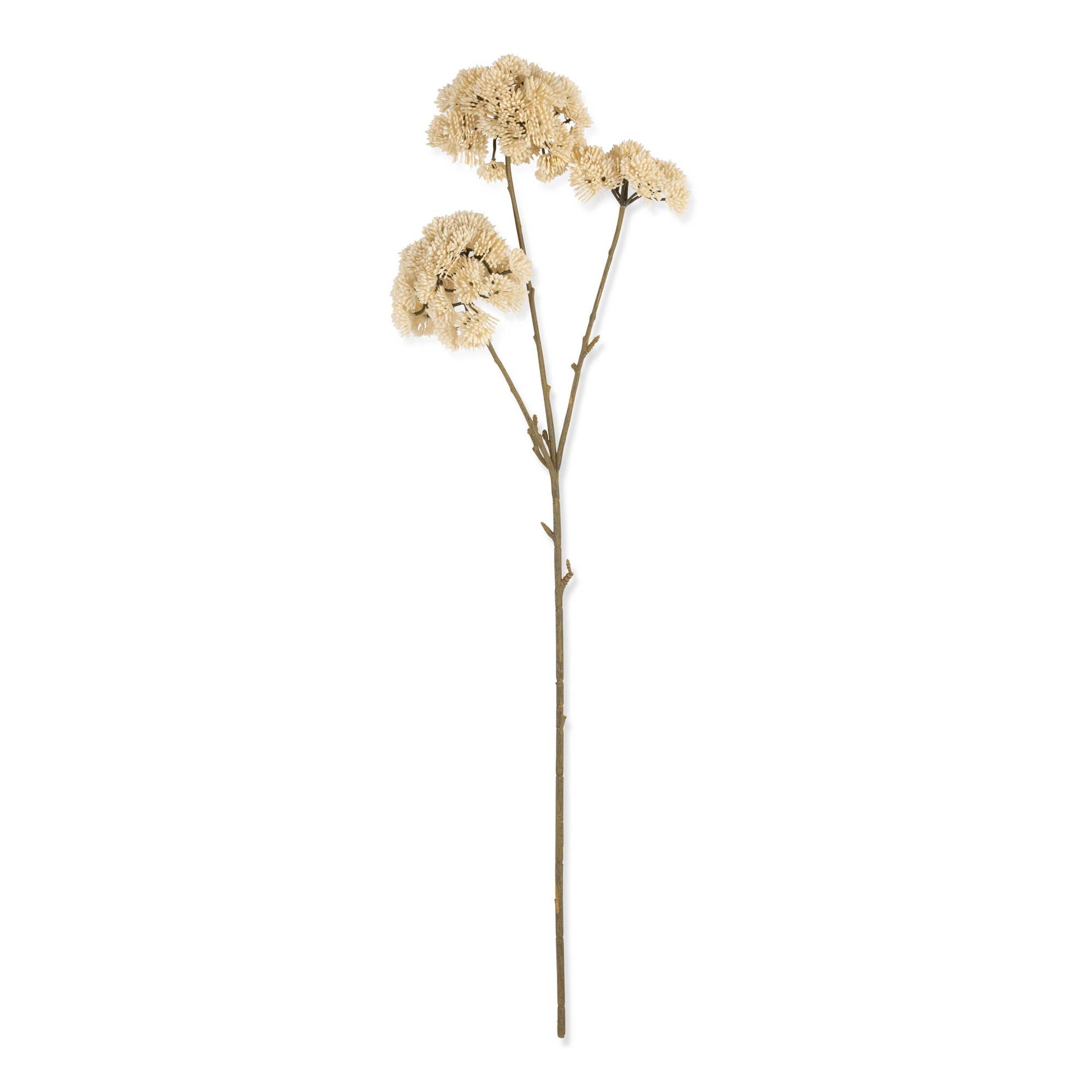 Cream Sedum Stem - Design Vintage