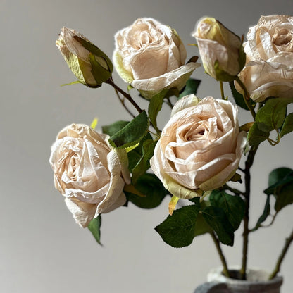 Vintage Nude Rose Spray