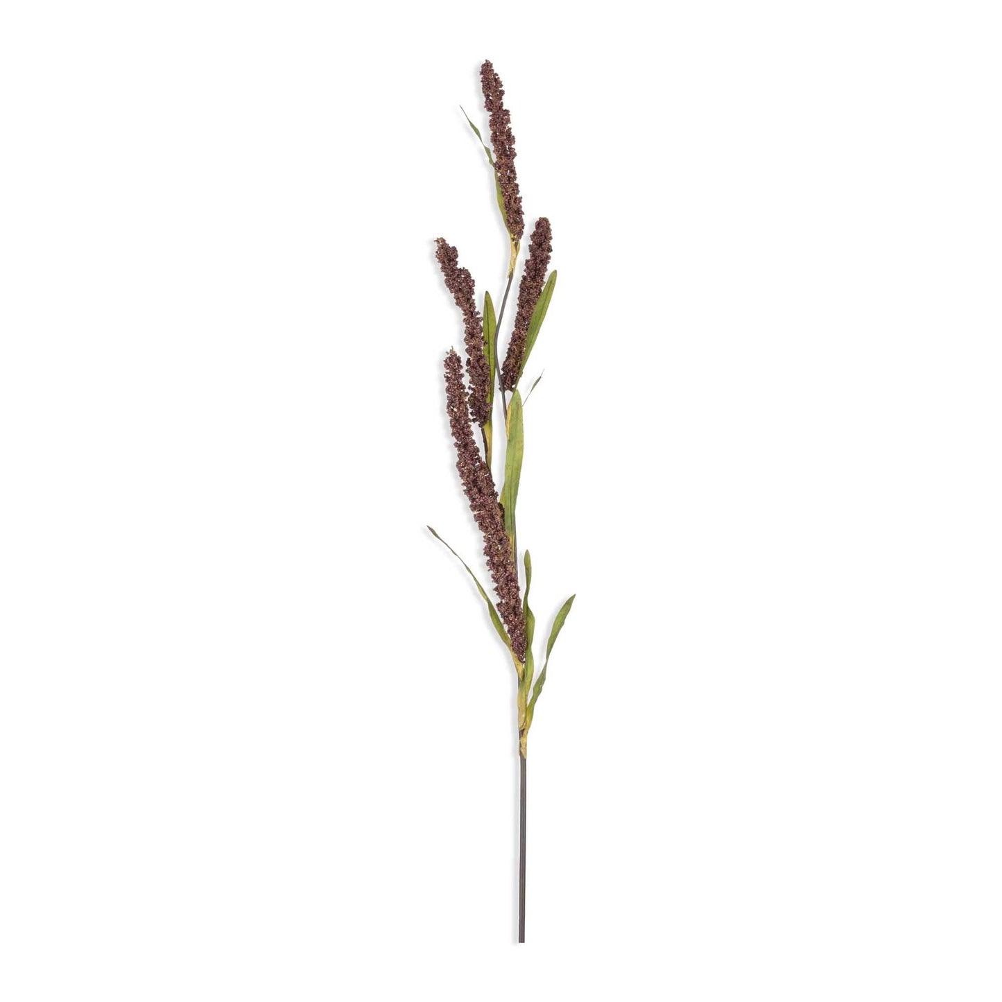 Rice Flower Stem