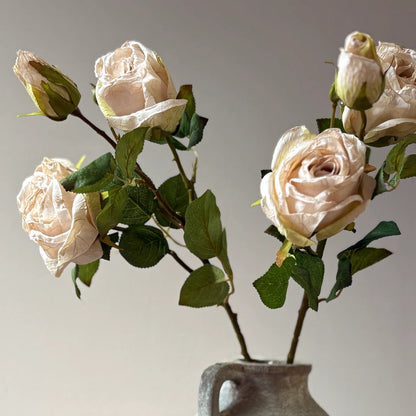 Vintage Nude Rose Spray