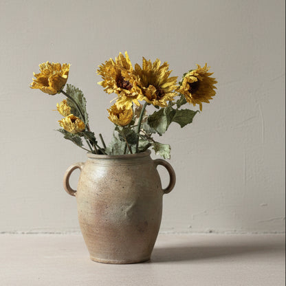 Vintage Mustard Poppy