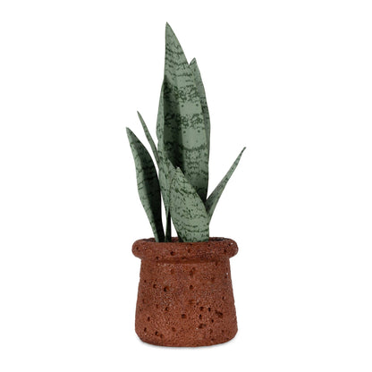 Potted Snake Plant