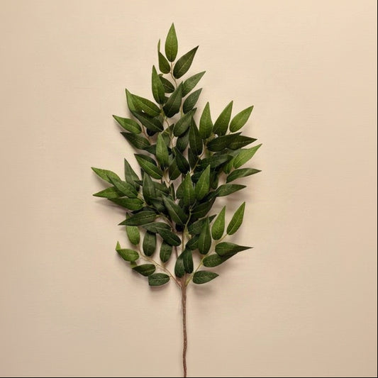 Green Ruscus Stem