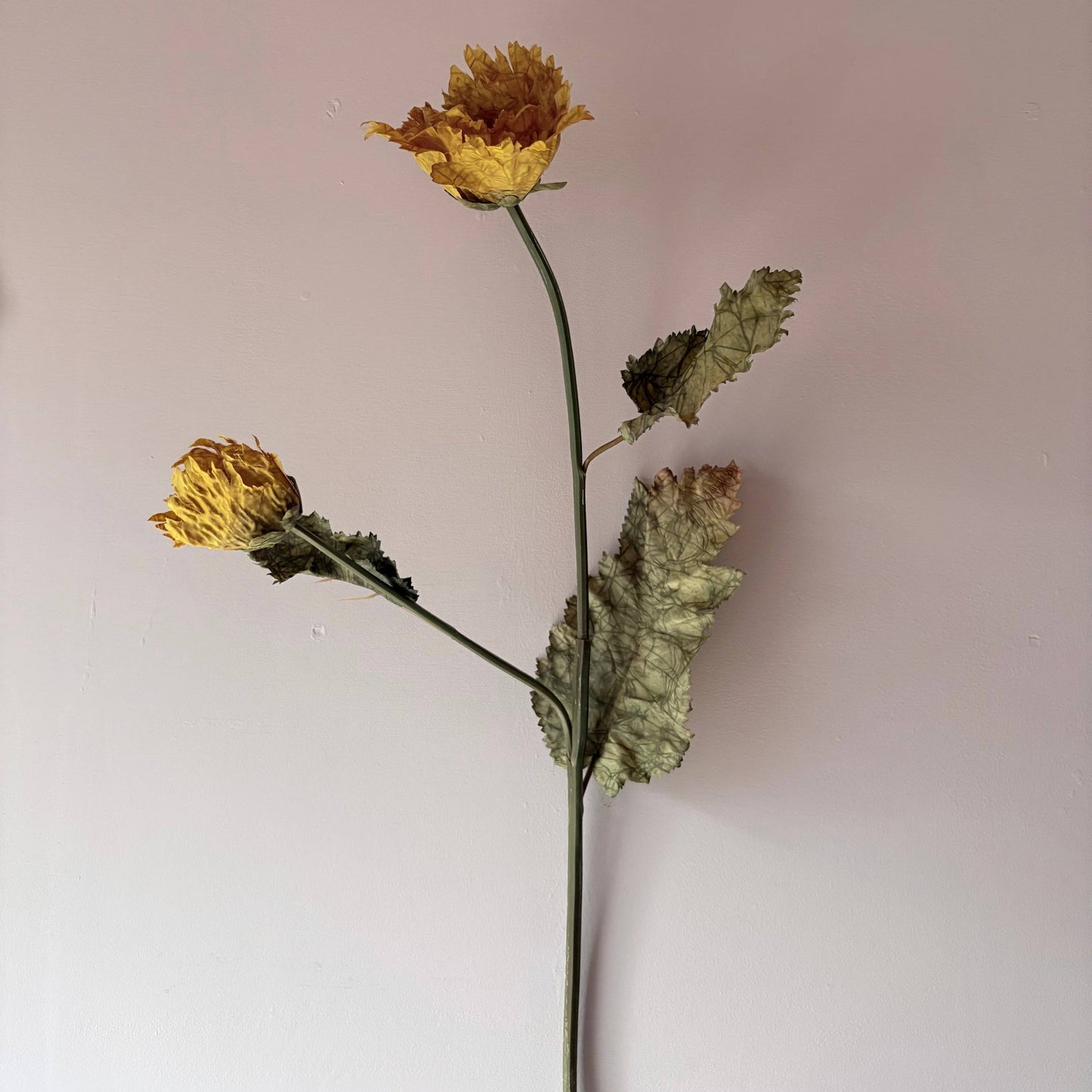 Vintage Mustard Poppy