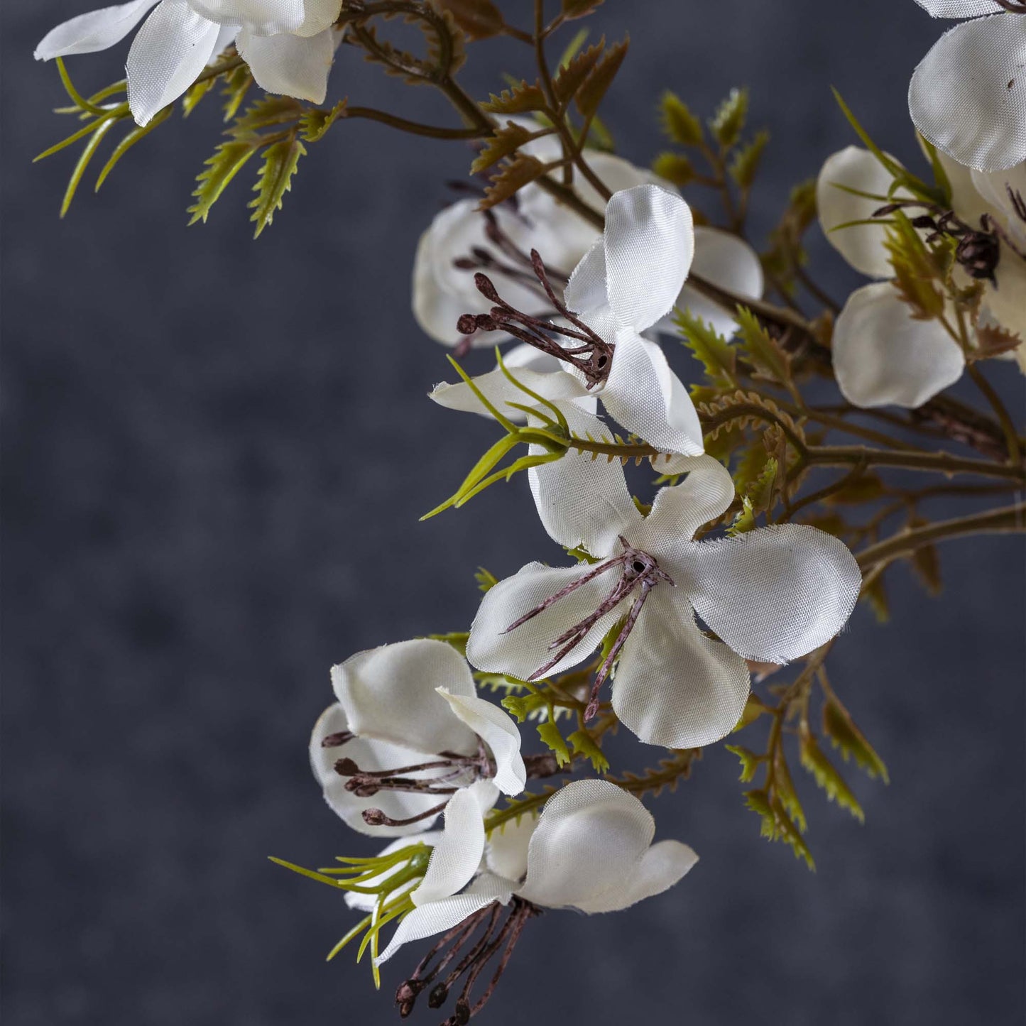 Cream Prunus Blossom