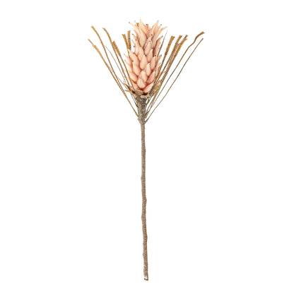 Rose Palmflower Stem