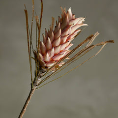 Rose Palmflower Stem